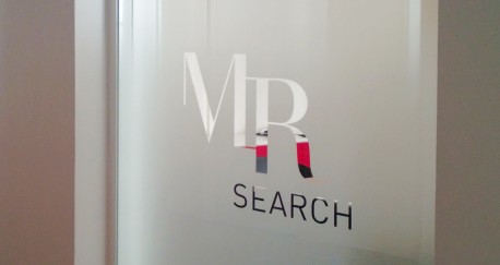 Mr Search